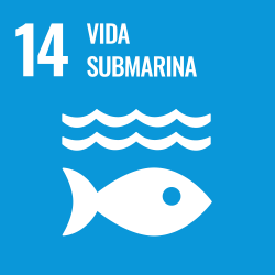 14. ODS vida submarina 14. ODS vida submarina
