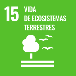 15. ODS Vida de ecosistemas terrestres 15. ODS Vida de ecosistemas terrestres